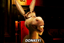 donkey.gif?w=315&h=213